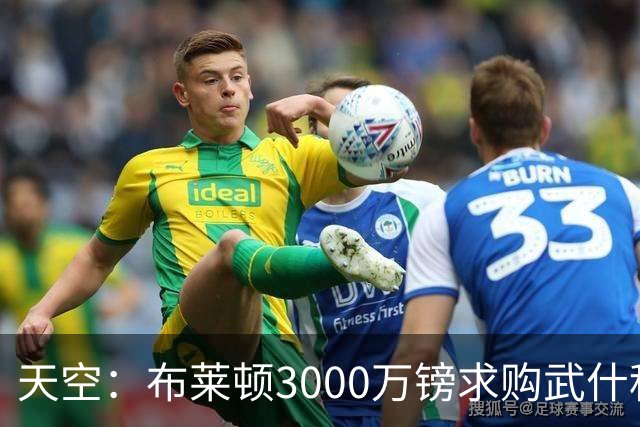 天空：布莱顿3000万镑求购武什科维奇，预计热刺对其估值超6000万